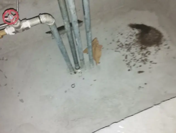 兴安盟卫生间测漏水价格明细